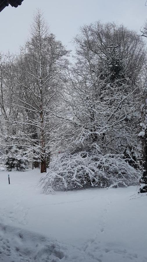 Stary Mlyn Wilczkowice Farm stay Michalowice (Lesser Poland)