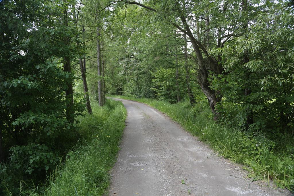 Stary Mlyn Wilczkowice Farm stay Michalowice (Lesser Poland)