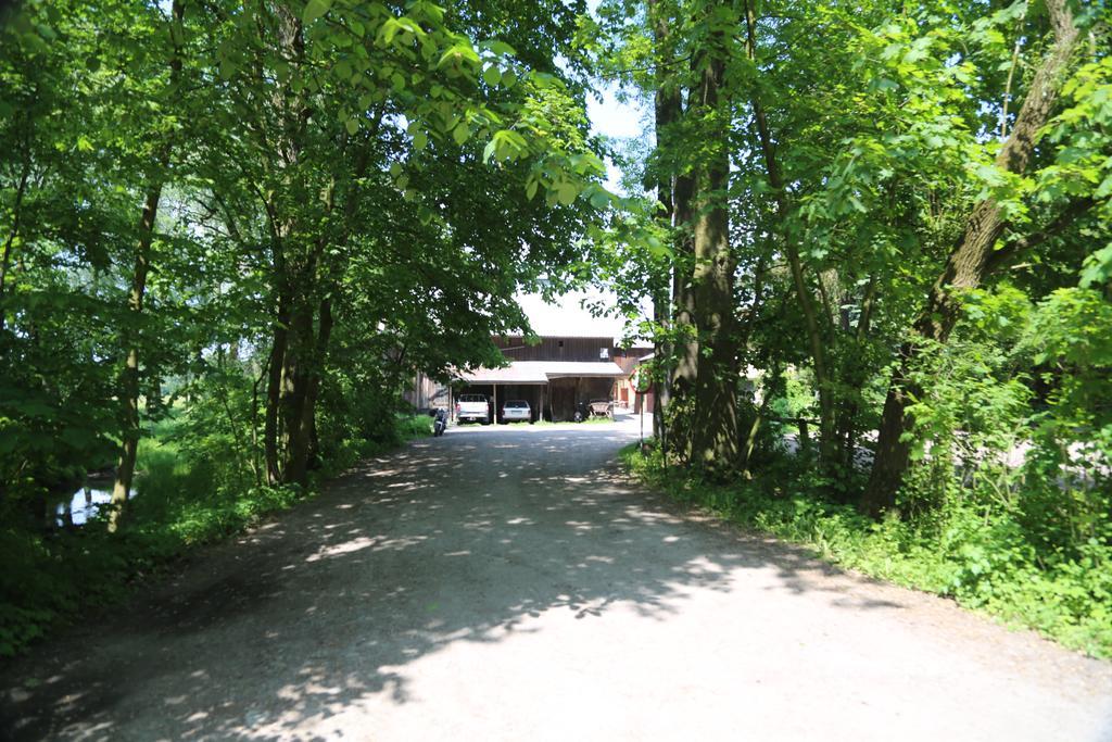 Farm stay Stary Mlyn Wilczkowice *