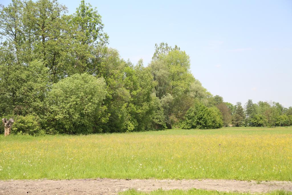 Stary Mlyn Wilczkowice Farm stay Michalowice (Lesser Poland)