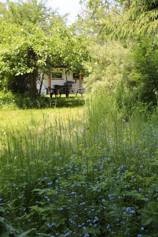 Stary Mlyn Wilczkowice Farm stay *