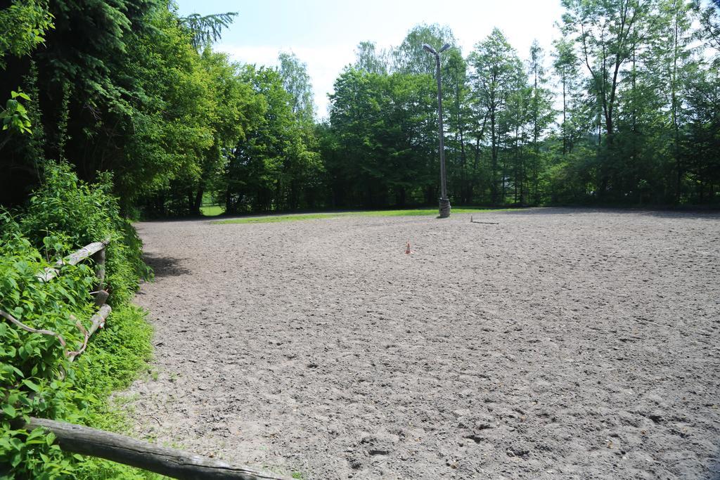 Stary Mlyn Wilczkowice Farm stay *