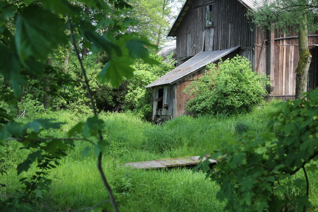 Stary Mlyn Wilczkowice Farm stay
