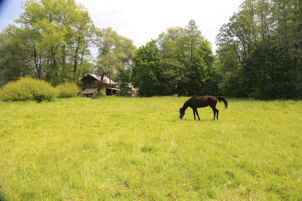Farm stay Stary Mlyn Wilczkowice Michalowice (Lesser Poland)