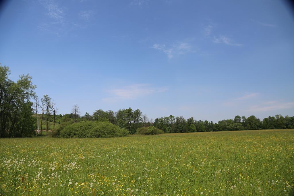 Stary Mlyn Wilczkowice * Michalowice (Lesser Poland)