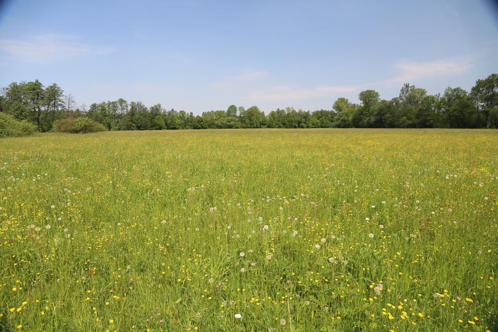 Farm stay Stary Mlyn Wilczkowice
